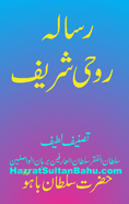 risala roohi sharif urdu with persian